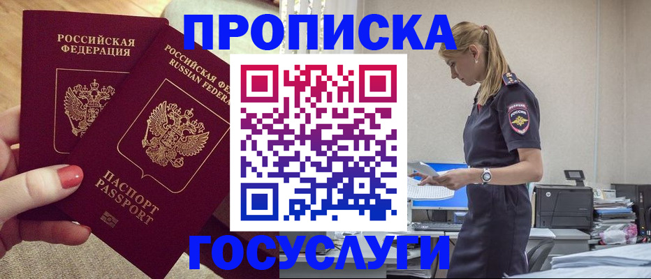 прописка поиск в Курчалом